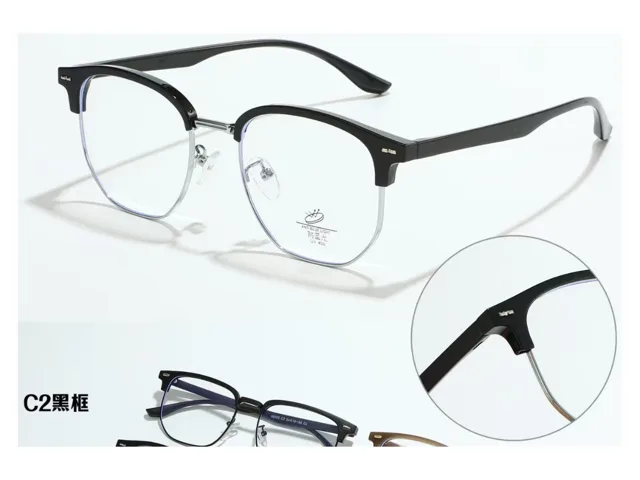 88003 — Optische Fassung